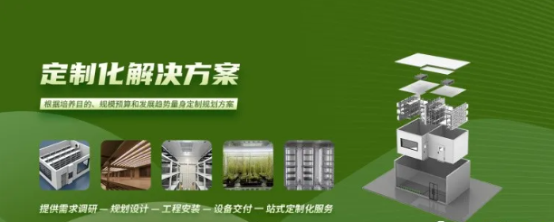 智能人工氣候室——打造最佳生長環(huán)境，助推農業(yè)研究新高度